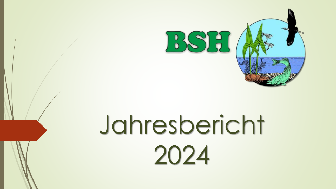 BSH Tätigkeitsbericht 2024