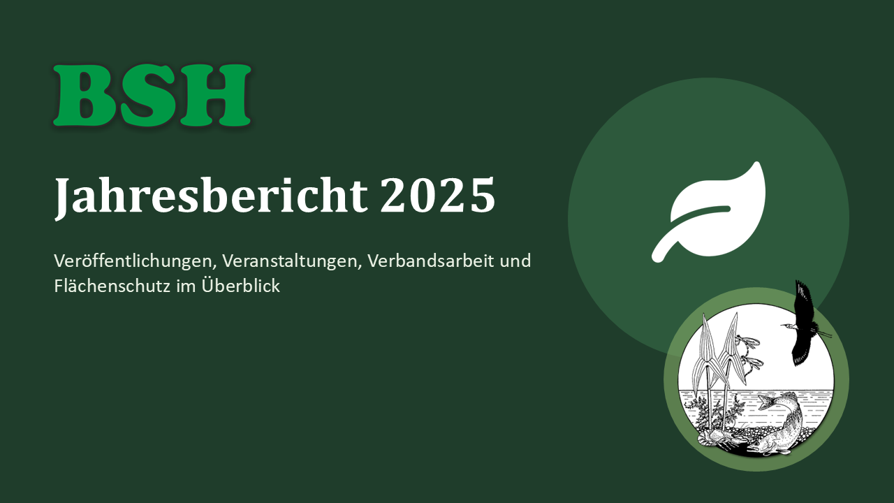 BSH Tätigkeitsbericht 2025